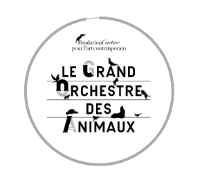 Le grand Orchestre des Animaux2